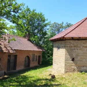 negotinske-pivnice-2