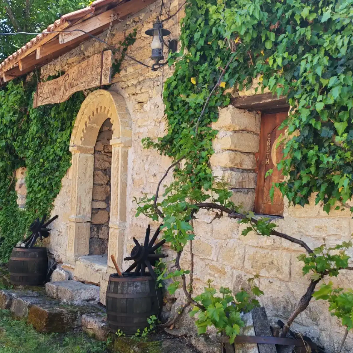negotinske-pivnice-featured